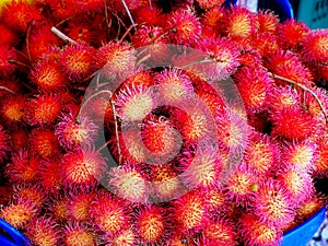 Rambutan