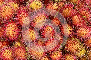 Rambutan close up