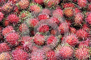 Rambutan fruit