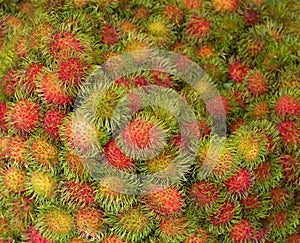 Rambutan fruit closeup