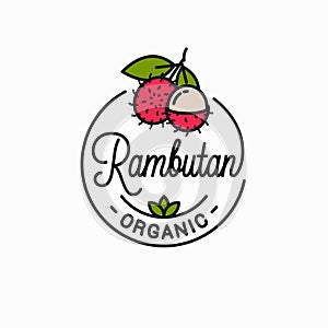 Rambutan fruit logo. Linear of rambutan slice
