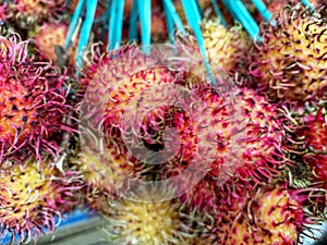 Rambutan fruit in Ruteng, Flores Island, Indonesia photo