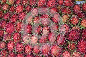 Rambutan