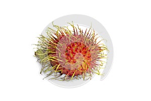 Rambutan isolated on whtie background, selecetive focus photo