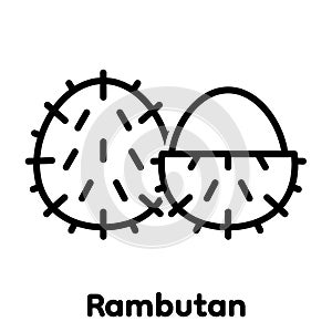 Rambutan linear icon, Vector, Illustration.