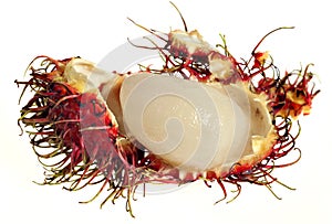 Rambutan macro