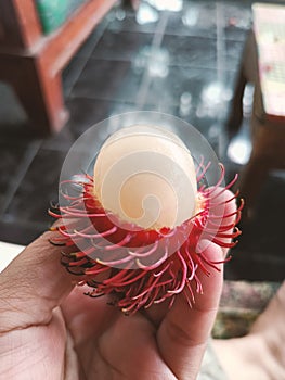 rambutan is one of the unique fruits in Indonesia, many like the fruit but are afraid or gelly with the hair on the skin