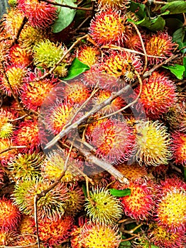 Rambutans fruit was taken photo from high angle. Background pattern