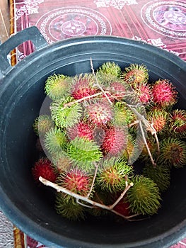 Rambutans Fruits is a fruit from Indonesia