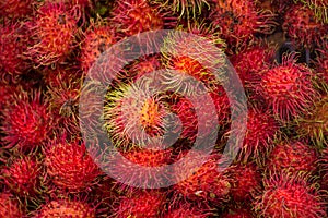 Rambutans tropical fruit in Thailand