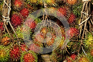 rambutans is a tropical plant originating from areas in Asian.