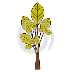 ramifications with green leaves plant icon