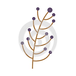 Ramifications tree with stem and branches