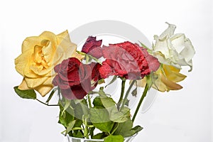 Ramo de rosas de colores variados