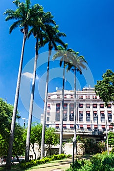 Ramos de Azevedo square in Sao Paulo photo