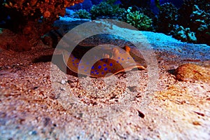 Ramp sea under water