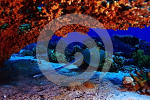 Ramp sea under water