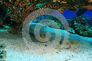 Ramp sea under water