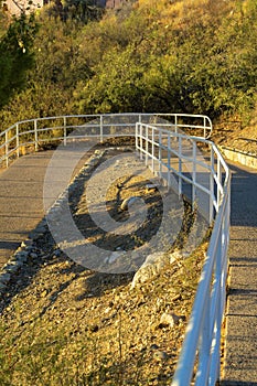 Ramp for wheel chairs in wooded area for walking and traveling by pedestrians with the dog on outdoor expeditions