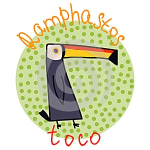 Ramphastos toco or giant toucan