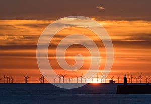 Rampion Windfarm and Newhaven Lighthouse at Sunset