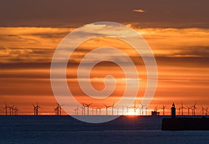 Rampion Windfarm and Newhaven Lighthouse at Sunset photo