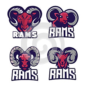 Rams esport logo design template, Goat logo vector illustration