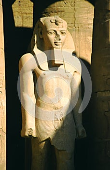 Ramses pharoah