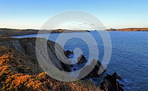 Ramsey Island, Ynys Dewi and the Pembroke Coast