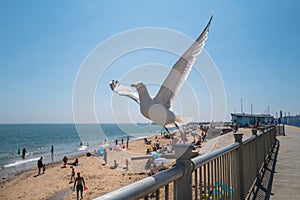 Ramsgate, UK - June 24 2020 A seagull takes off with some motion blur from a railing alongside Ramsgate Main Sands beach during a