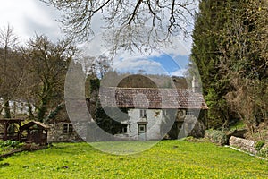 Ramshackle derelict rural cottage overgrown with plants and moss and left abandoned