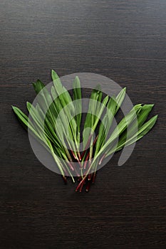 Ramson on a black table, wood garlic