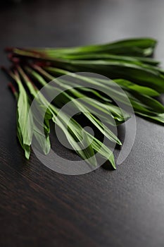 Ramson on a black table, wood garlic