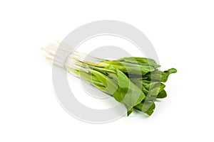 Ramson bunch vegetable