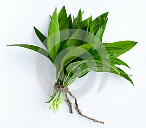 Ramson bunch vegetable isolated on white background