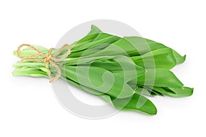 Ramson bunch vegetable isolated on white background with clipping path and full depth of field