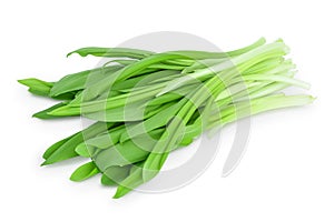 Ramson bunch vegetable isolated on white background with clipping path and full depth of field