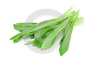 Ramson bunch vegetable isolated on white background with clipping path and full depth of field