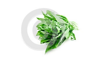 Ramson bunch vegetable isolated on white background