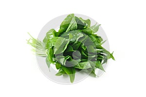 Ramson bunch vegetable isolated on white background