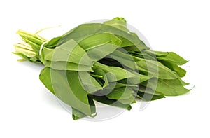 Ramson leaves photo