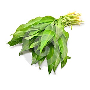 Ramson