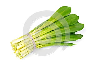 Ramson onion