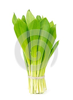 Ramson onion cluster