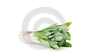 Ramson onion cluster