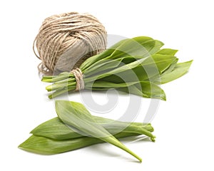 Ramson onion isolated against white background.