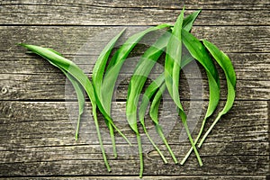 Ramson or wild garlic leaves