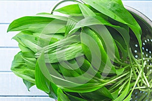 Ramson or wild garlic leaves