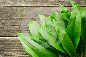 Ramson or wild garlic leaves