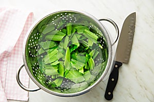 Ramson or wild garlic leaves